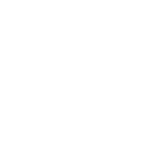 pinterest icon